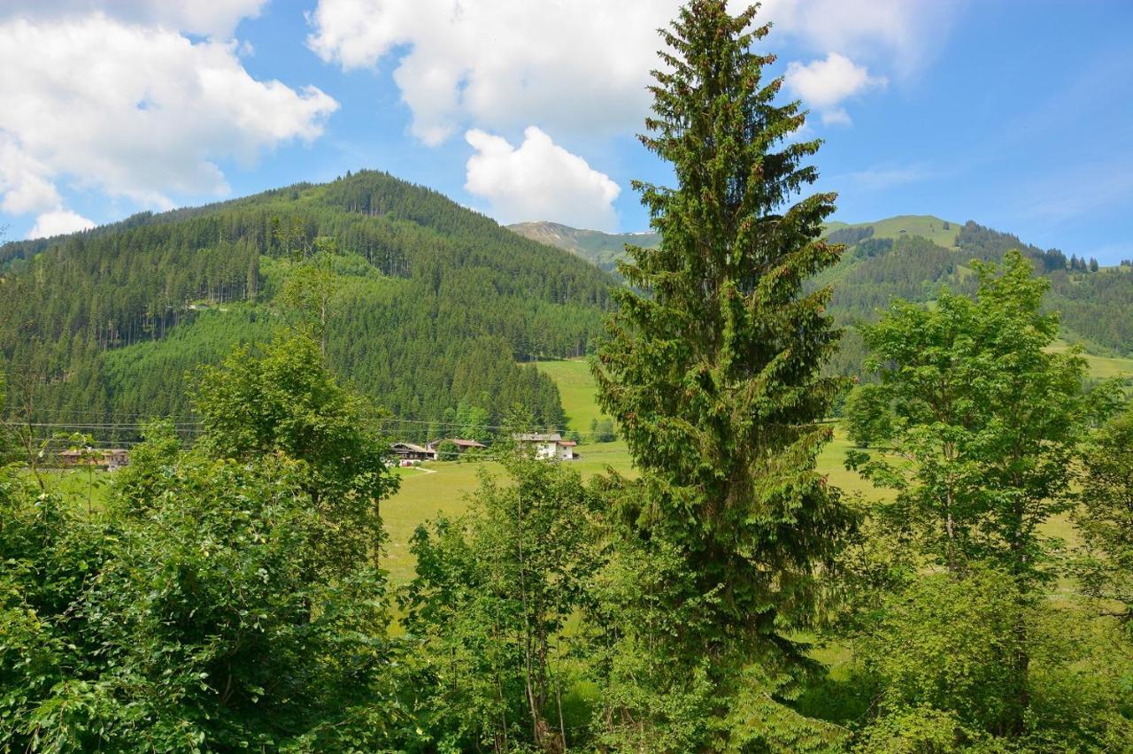 Апартаменты Alte Bildhauerei Аурах-бай-Кицбюэль Экстерьер фото